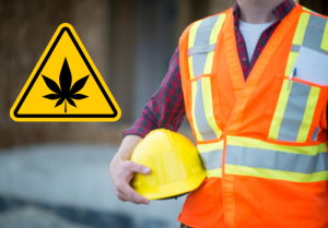 Workplace cannabis use