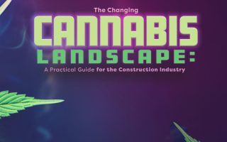 Cannabis landscape in the construction industry article